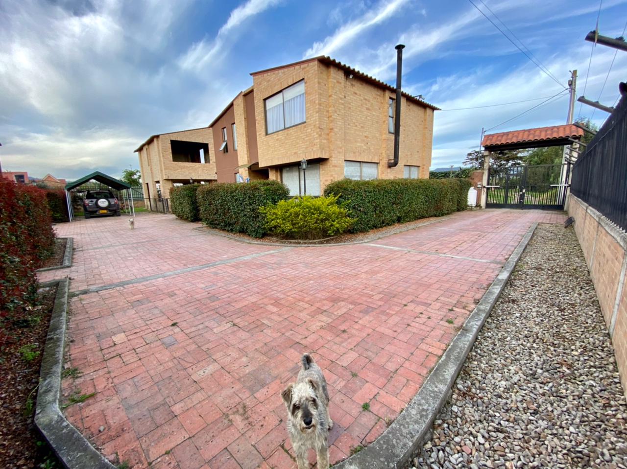 WhatsApp Image 2021-04-19 at 5.44.16 PM (1)